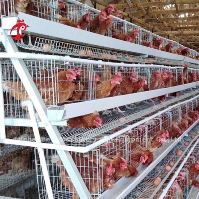 Automatische van de het Systeem Commerciële Laag van de LaagBatterijkooi de Kippenkooi 3 Rijen Hete Verkoop nam toe