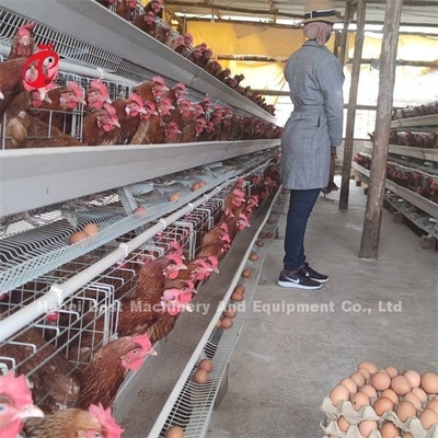 Gegalvaniseerde pluimveehouderij laag kooi batterij kooi prijs in Nigeria Lagos magazijn Emily