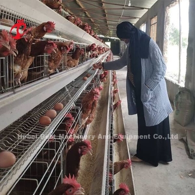 H Type Systeem 4 van de LaagBatterijkooi van het het Gevogeltelandbouwbedrijf van de Rijenlaag Zandige de Goedkeuring van het Materiaalce