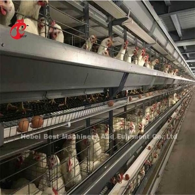 De wijd Gebruikte Kooi van de het Gevogeltelaag van de Ijzerdraad voor Commerciële Kip Mia