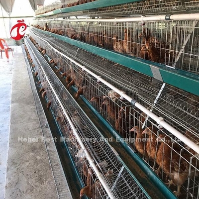 Elektrische Gegalvaniseerde van de het Landbouwbedrijfkooi van het Laaggevogelte Antiroest de LaagBatterijkooien Emily
