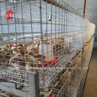 Q235 van de het Systeembaby van de Pluimveehouderijkooi van de de Kuikenspiekeraar het Staaldraad Emily