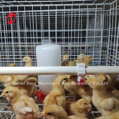 Huishoudelijke uitrusting voor pluimveehouderijen H-type batterij kippenkooi systeem voor broilers Mia