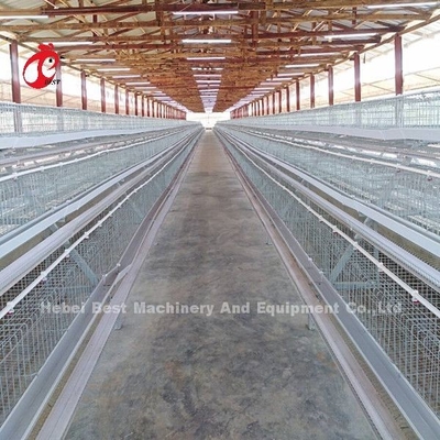 90/96/120/128/160/200 Capaciteit Vogelschaalkooi met tepeldrinker en voederbak