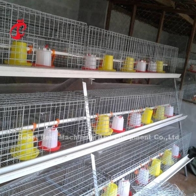 ISO-Batterijtype het Fokkenkooi, de kooi van de 3 rijkip voor de Iris van het Gevogeltelandbouwbedrijf
