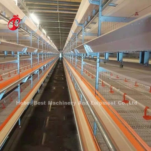 Beste gegalvaniseerde 3 niveaus 96 vogels laag batterij kooi systeem in Kenia Farm Mia