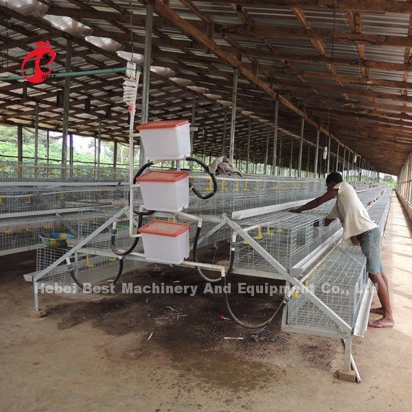 Ce een Type 120 Vogels Chick Rearing Cage With Drinkers en Voedersster