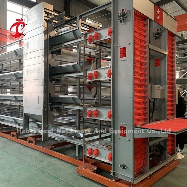 Automatische kippenkooi van het type A of H. Voedingsapparatuur Hopper-eiersysteem voor 35.000 vogels