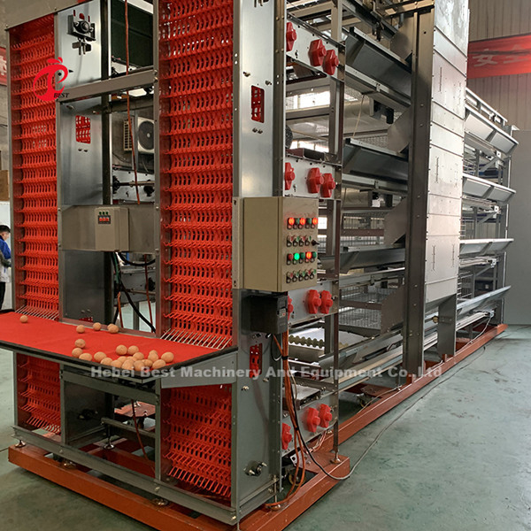 Moderne H-type automatische kippenkooi voor 25000 vogels