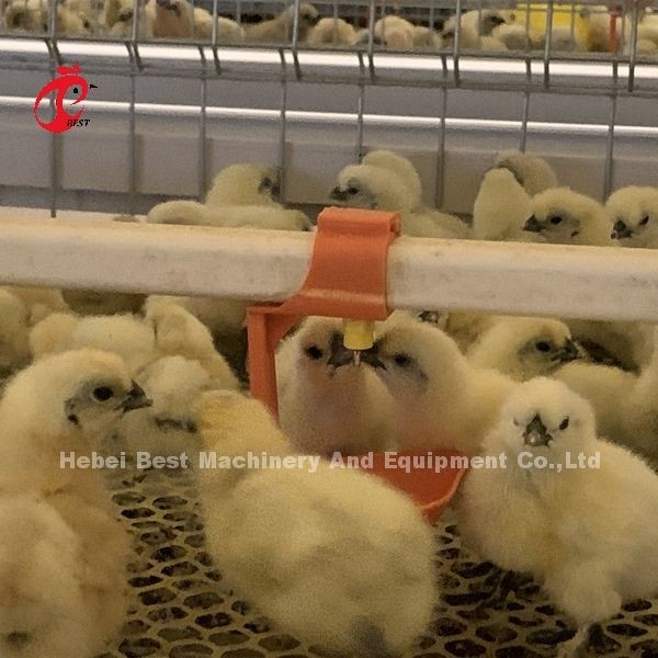 Praktische 380V kippen broeder kooi voor dag oude laag groeipuien in Afrika boerderij iris
