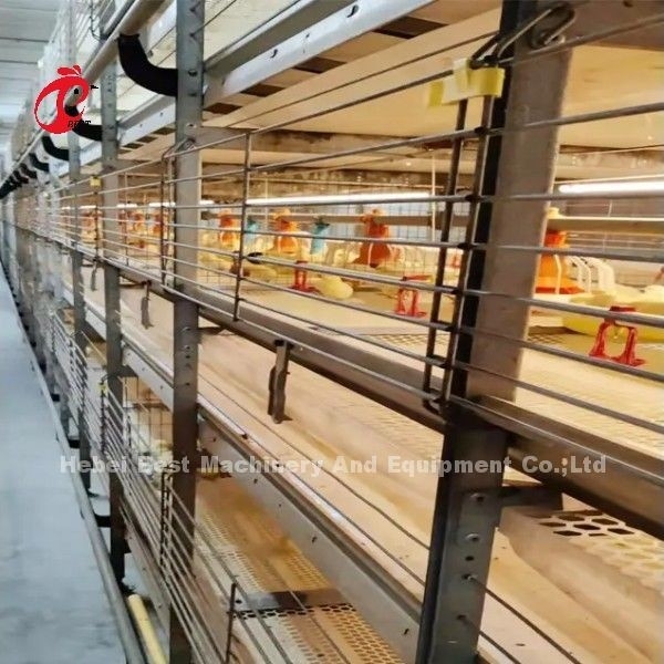 BEST gegalvaniseerd automatisch H-type kippenboerderij broiler kooi systeem Adela