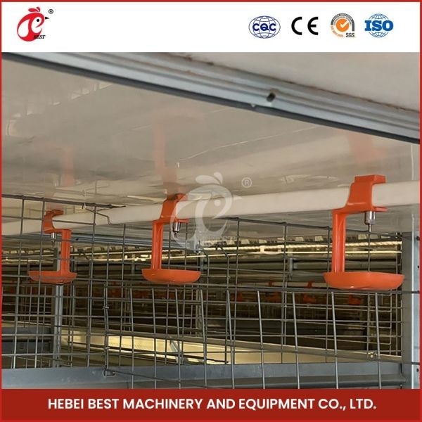 Lang Kooi Automatisch H Type van het Levensduur Modern Gevogelte Dag Oud Chick Pullet Cage High Capacity Adela
