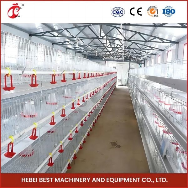 Hete Gegalvaniseerde Automatische Jonge kipbaby Chick Brooder Cage 192 Vogels 1.2m Lengte Mia