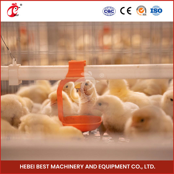 De geautomatiseerde van de Batterijchick brooder cage for day van de Jonge kipbaby Kuikens van de de Laagkweker Oude namen toe