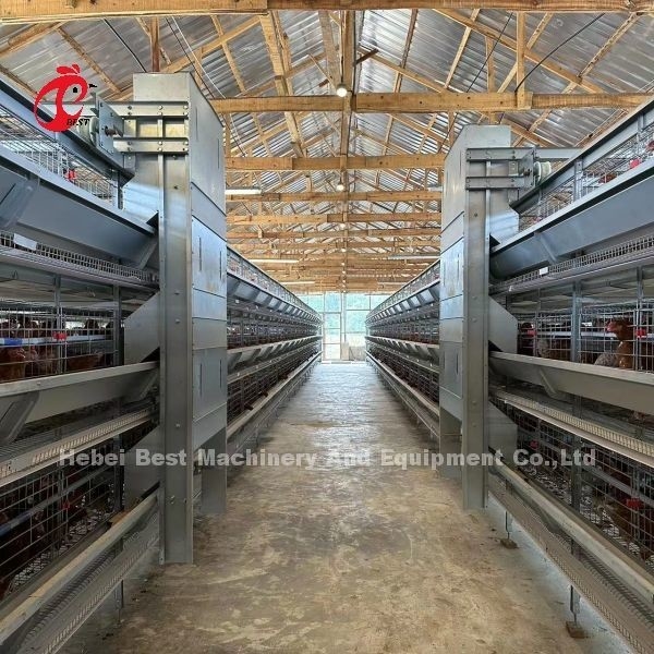 110 kg capaciteit pluimvee laag kooi met automatische tepel drinkers voor pluimveehuizen Doris