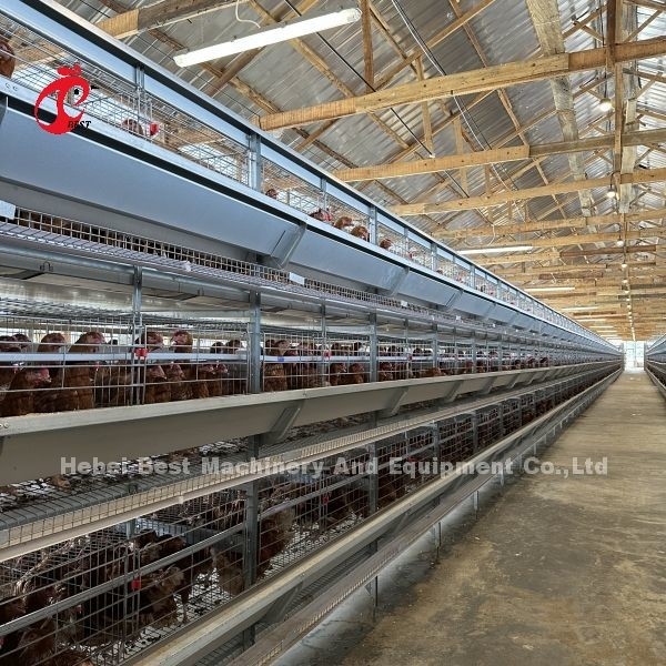 Q235 stalen kippenbatterijkooi voor pluimveehouderij aangepast formaat Iris