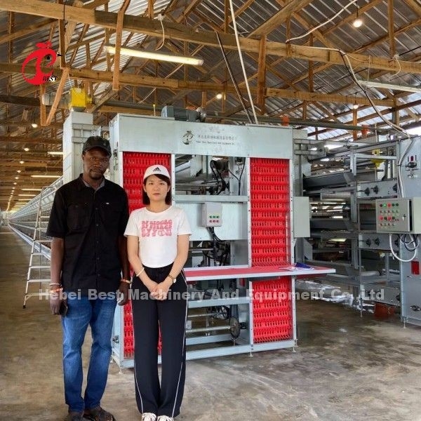 Warm gegalvaniseerd Q235 stalen kippenbatterij kooi voor Nigeria Ghana Kameroen kippenboerderij Doris