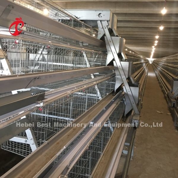 3/4/5 Tiers Battery Cage System voor geautomatiseerde laag kippen pluimveehouderij Iris
