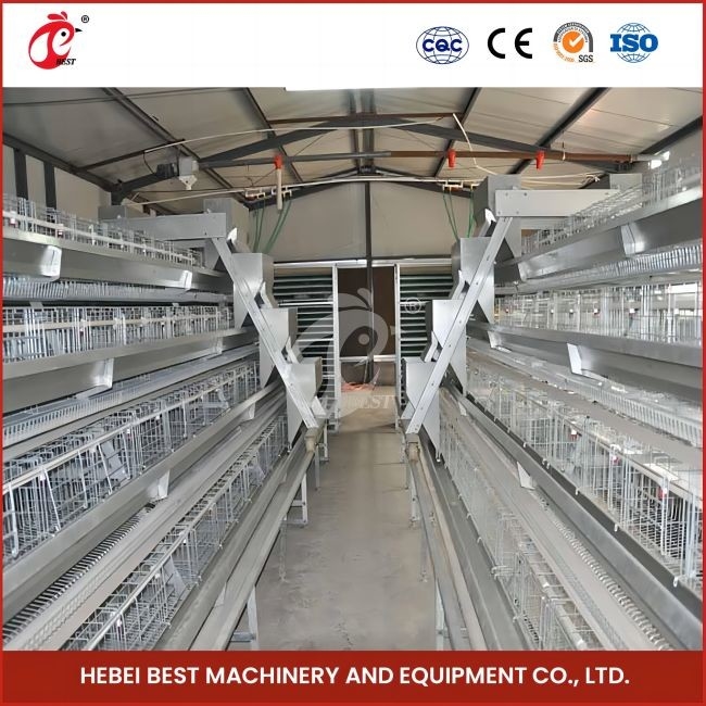 96 Vogels H-type automatische kippenkooi / een type broiler kippenkooi met schuifdeur roos