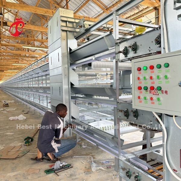 Vleeskooien systeem type H/A met automatische drinkers voeders Installatie voor Tanzania Oeganda Ghana Kenia Sandy