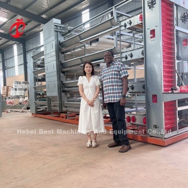6 Tiers kippenkooi broiler pluimvee uitrusting voor optimaal ruimtegebruik en automatisering Doris