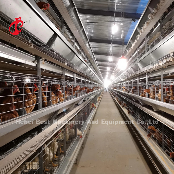 Automatische laag batterij kooi systeem H frame voor 30000 vogels pluimveehouderij Emily Wang