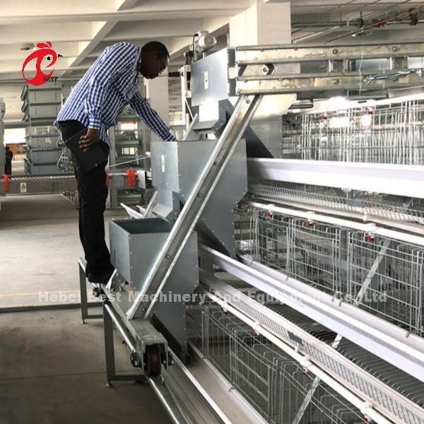 H-type pluimveebatterijkooien Elektro gegalvaniseerd Duurzaam Geïmporteerd Automatisch Nippel Drinker Iris