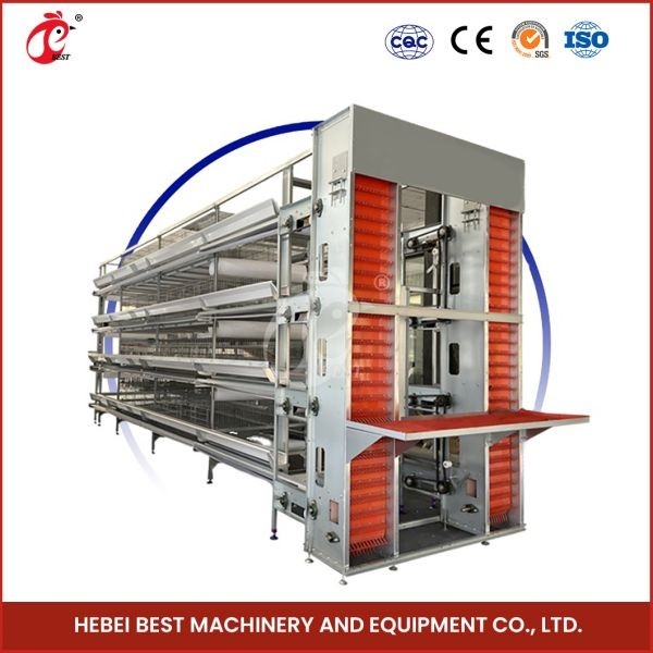 Geïmporteerd gegalvaniseerd kooien systeem Automatische voeding hopper Elektro gegalvaniseerd voor tepel drinkers Rose