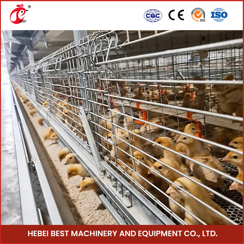 Gegalvaniseerd kippenhouderij kooi systeem met 2,8-3,5 mm kooi draad diameter Mia