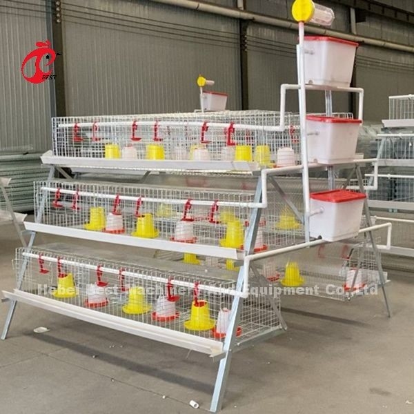 Het Landbouwbedrijf van het premiegevogelte een van de de Kippenkooi van de Typejonge kip de Batterijkip het Broeden Kooiiris