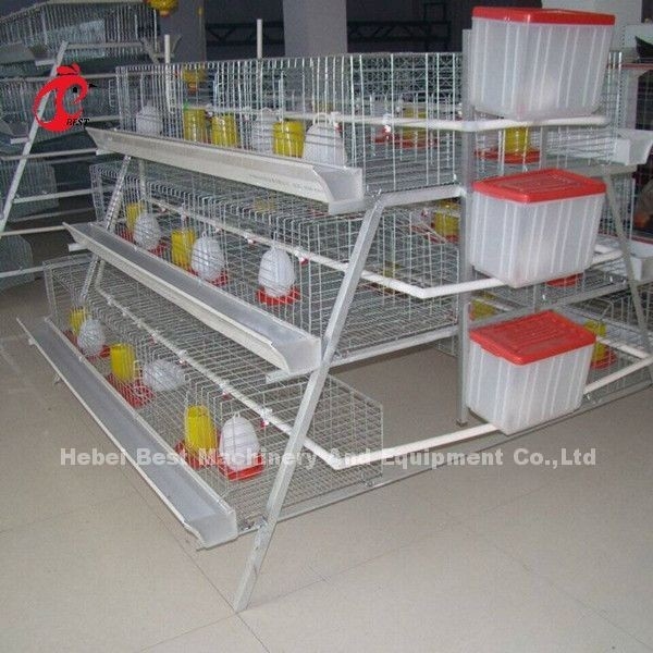 de Kippenkooi van de 3 rijenjonge kip 1 Week Klein Chick Brooder Cage Doris