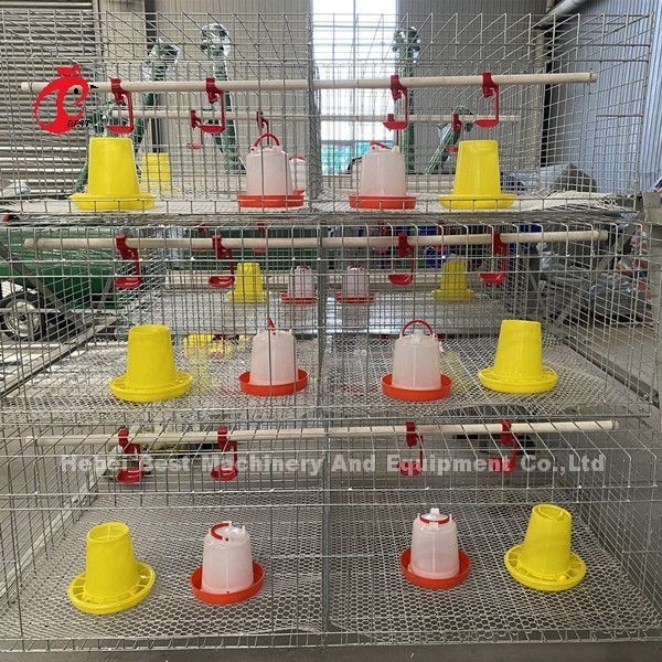 De Braadkipkooi 3 van het gevogeltelandbouwbedrijf Rijen, een TypeBatterijkooi voor Grills Doris