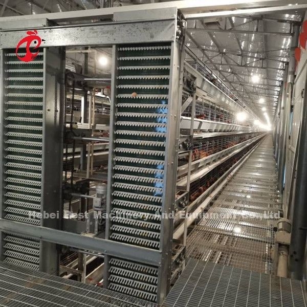 Gepersonaliseerd Automatisch Eierverzameling Voeder Hopper Systeem Voor 30.000 Kippen Farm Doris