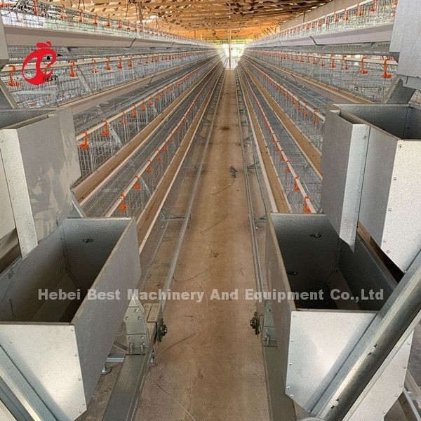 16 weken Eieren leggen Hen A of H Frame Geautomatiseerde laag kooien 15000 Vogels Emily