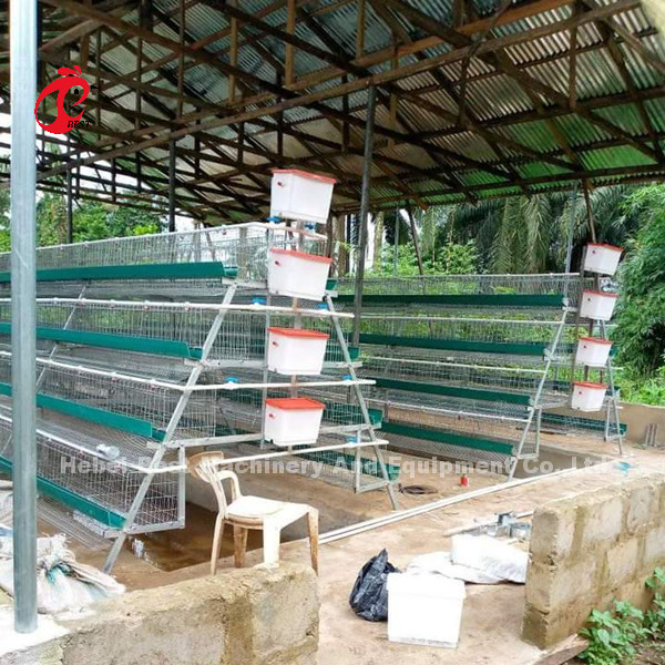 Het Pakhuispremie van Nigeria en het Luxesysteem van de GevogelteBatterijkooi voor Zandige Laagkippen