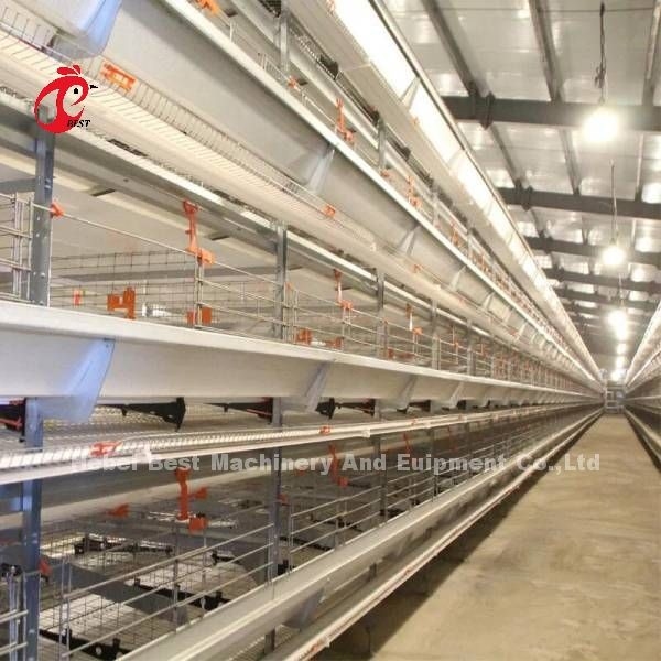 Volledige Automatische Batterijkooiprijs in het type van Nigeria H laag Mia