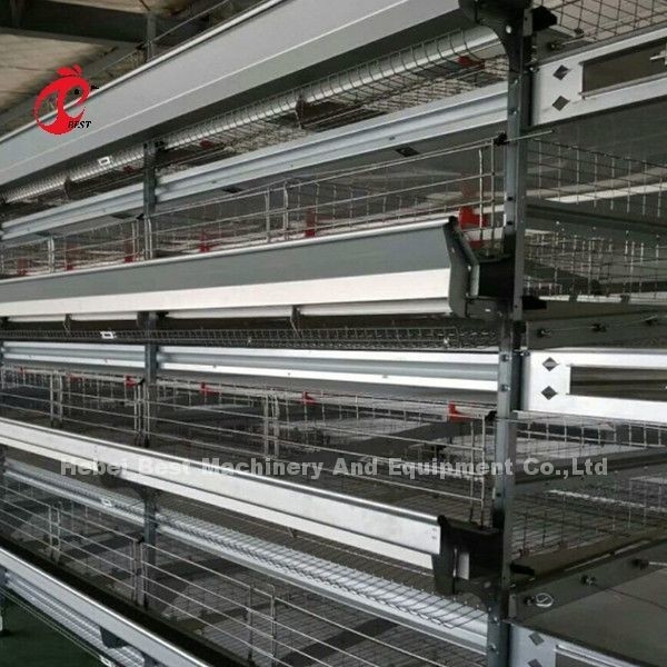 Batterij Automatisch H-type kippenkooi systeem Hot Sale 240Birds Rose