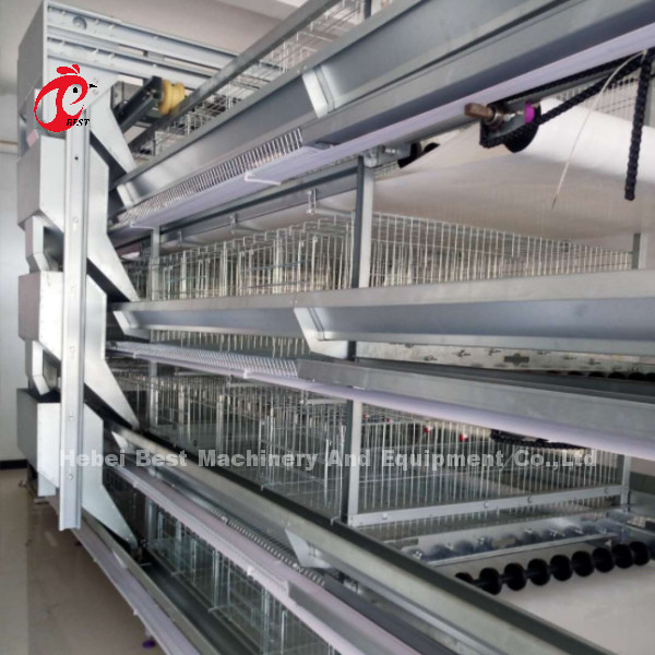 H &amp; A Type Automatische pluimvee laag kooi 15000 vogels populair in Afrika Roos