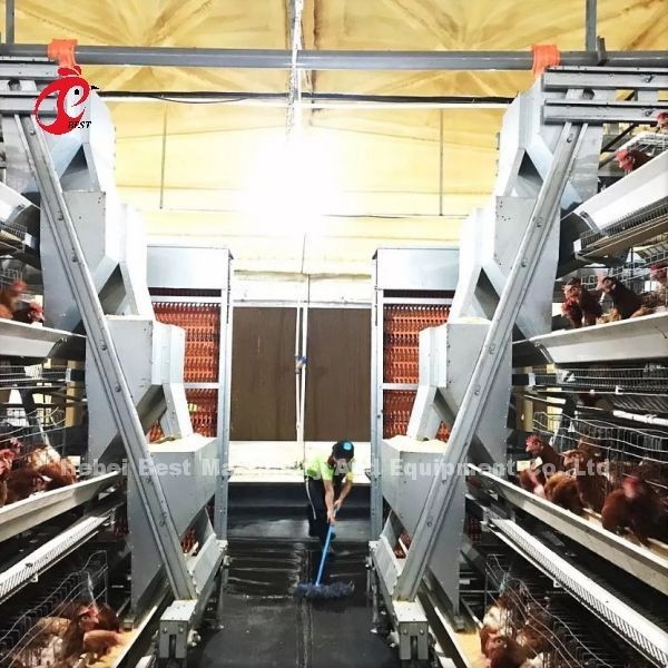 Van de de KippenBatterijkooi van de Typelaag Volledige Automatisch voor Groot Landbouwbedrijf Adela