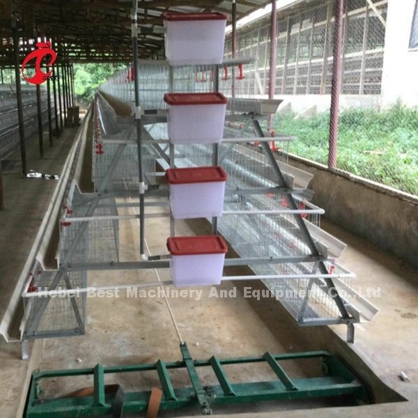 Automatische van de het Systeem Commerciële Laag van de LaagBatterijkooi de Kippenkooi 3 Rijen Hete Verkoop nam toe