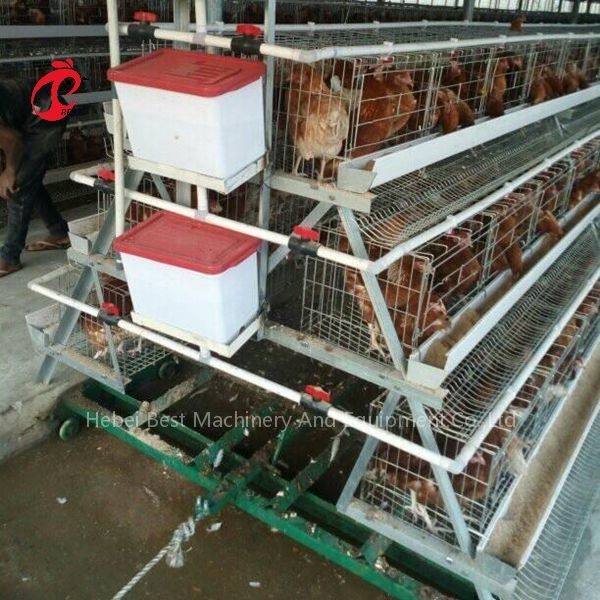 Van de het Gevogeltemest van het kooisysteem de Schrapermest die 3 typesiris schoonmaken