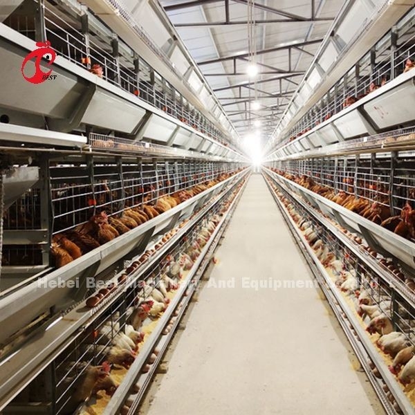 2.2m het Systeem van de Pluimveehouderijkooi, 9 RijenBatterijkooi voor Lagen nam toe