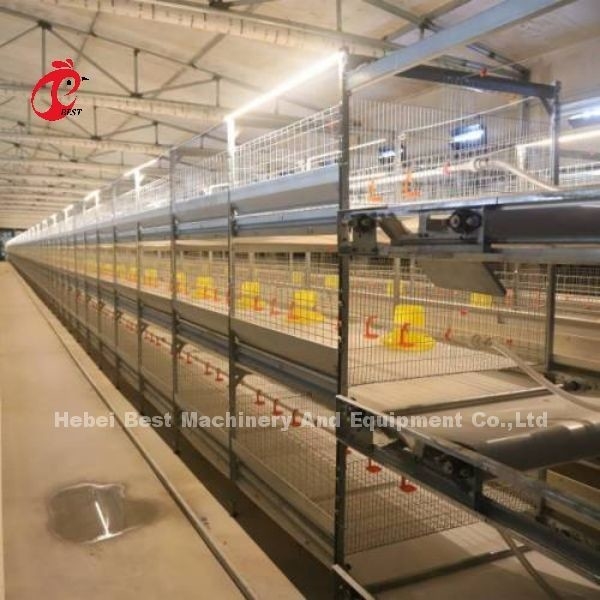 H Type Ce van de Braadkipkooi, het Volledige Automatische Materiaal Adela van de Grillkooi